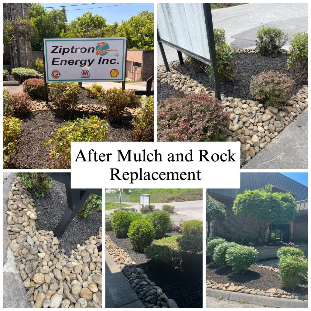Commercial landscape beds after fresh mulch and rock replacement (Ziptron Energy)