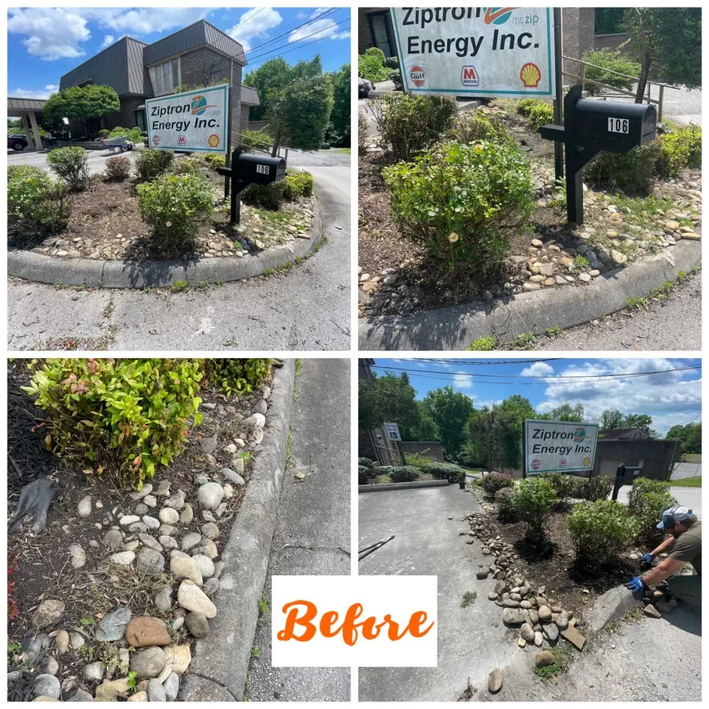 Commercial landscape beds before mulch and rock replacement (Ziptron Energy)